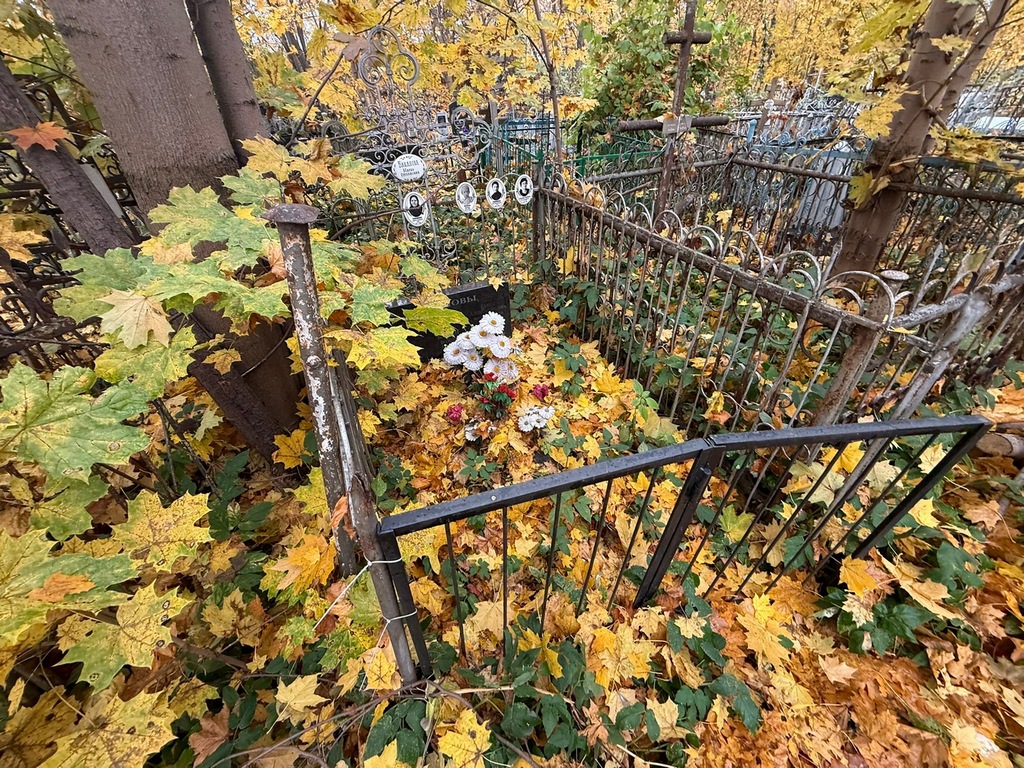 Камин Владимир
