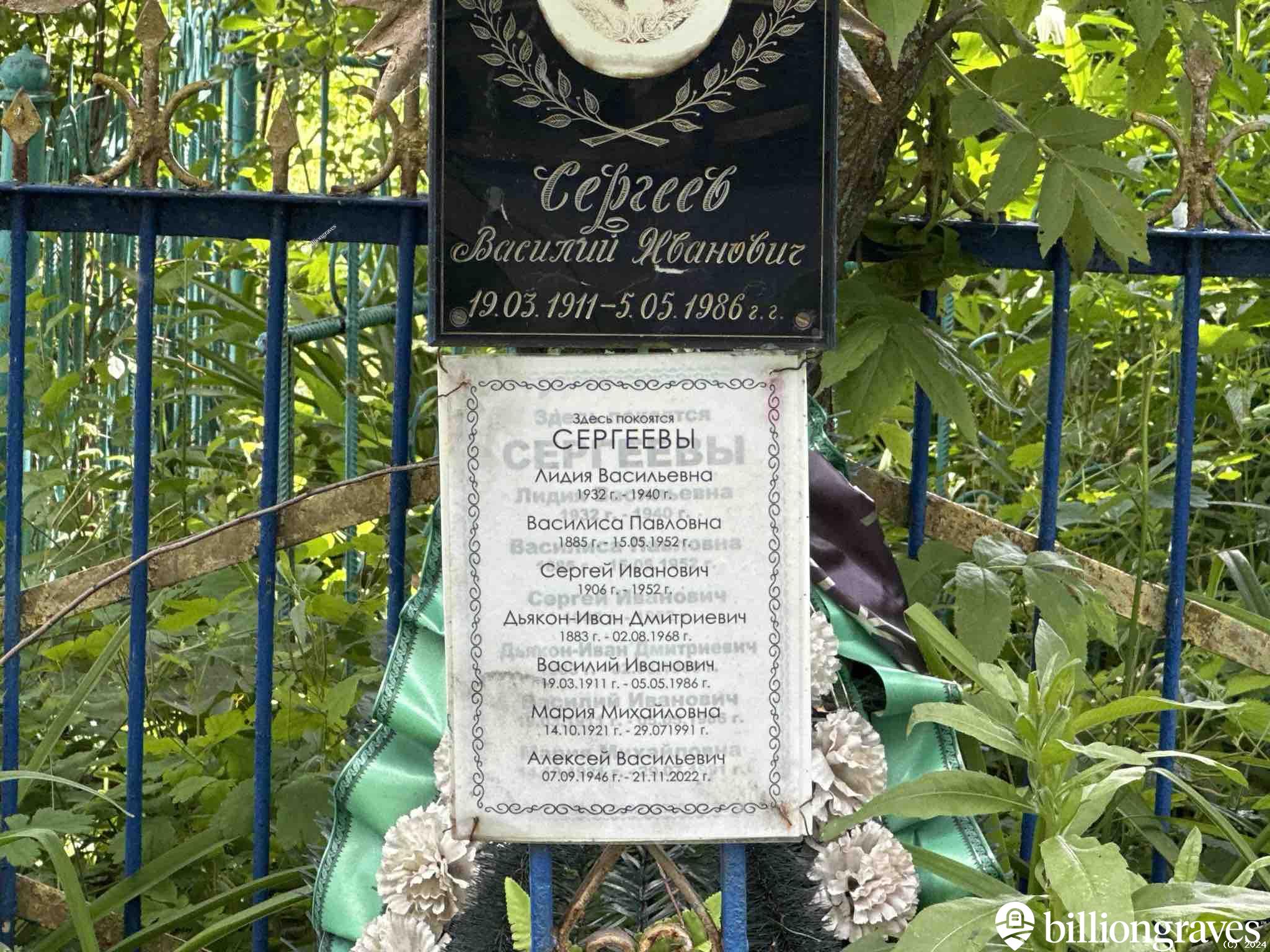 Сергеева Мария Михайловна