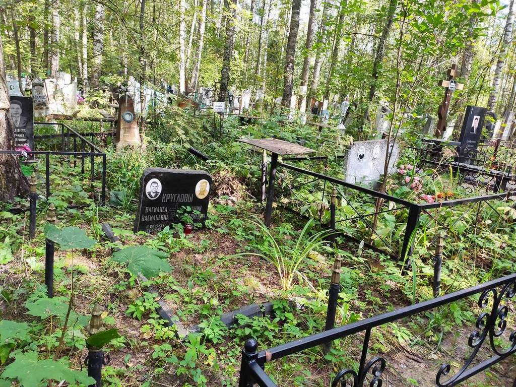 Круглова Василиса Васильевна