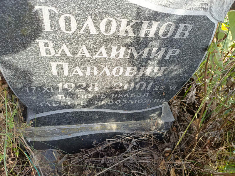 Толокнов