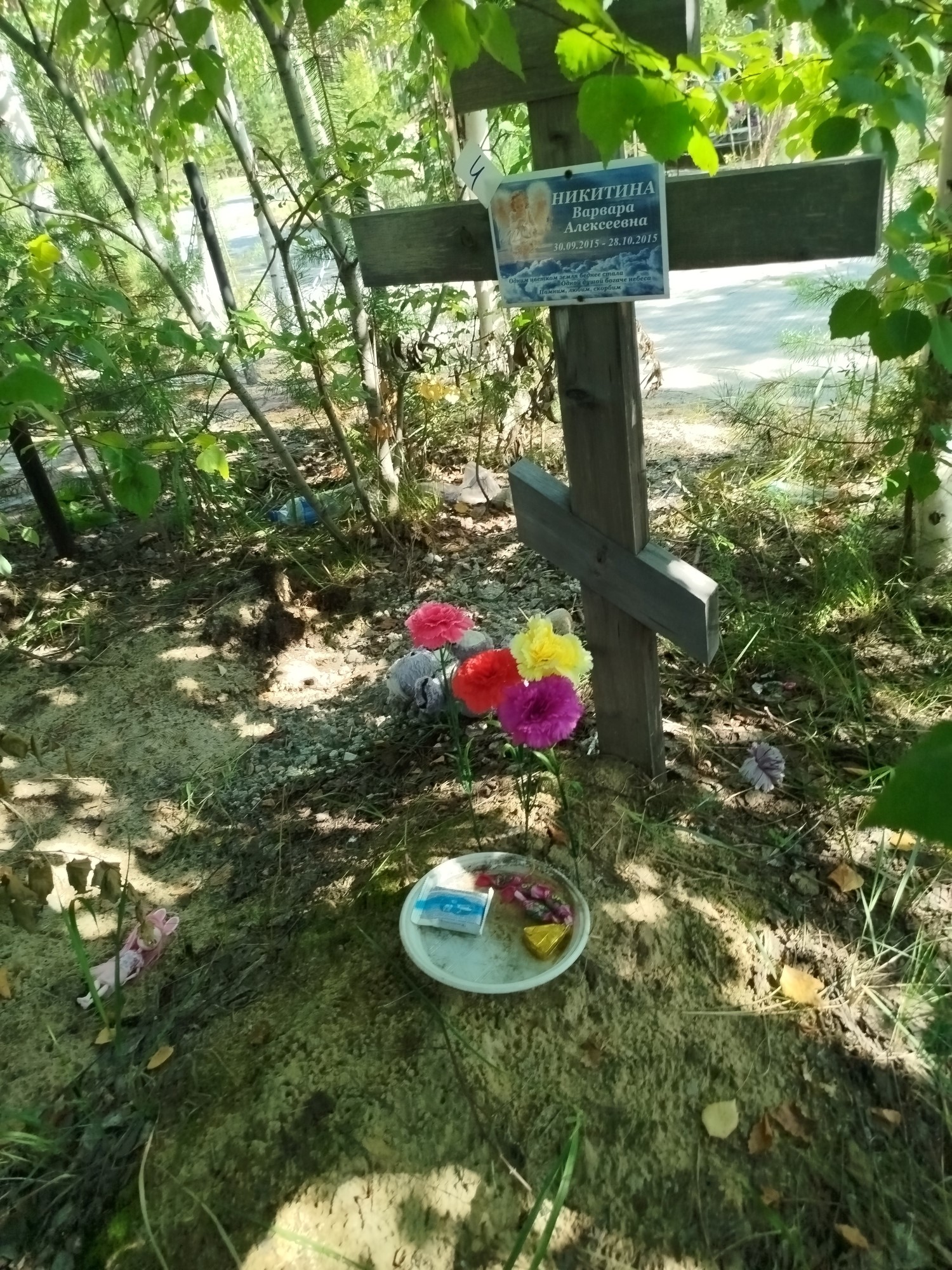 Никитина Варвара Алексеевна