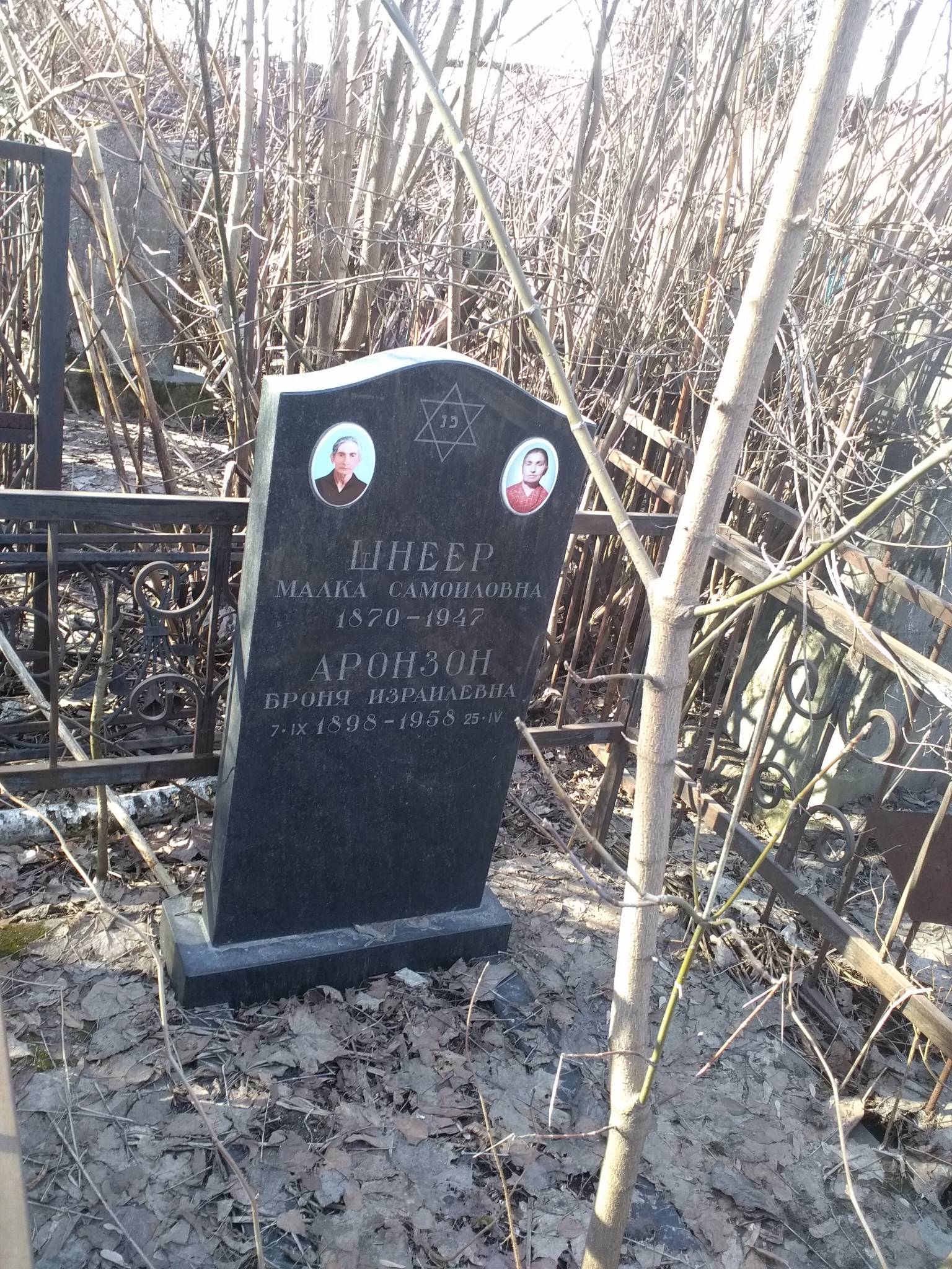 Аронзон Броня Израилевна
