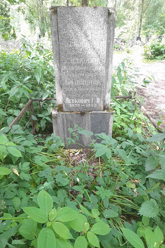 Левкович Г. И.
