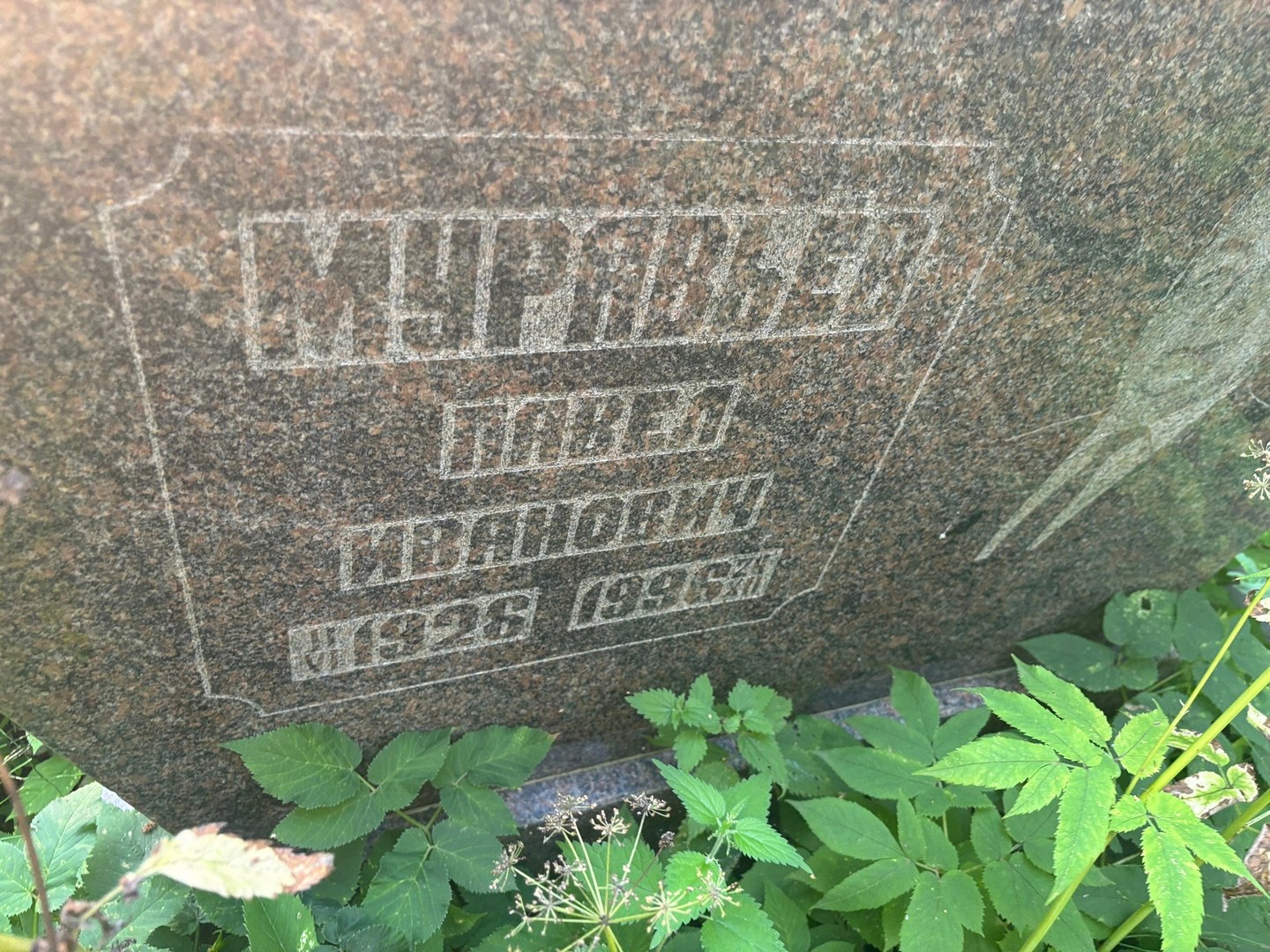 Муравьев