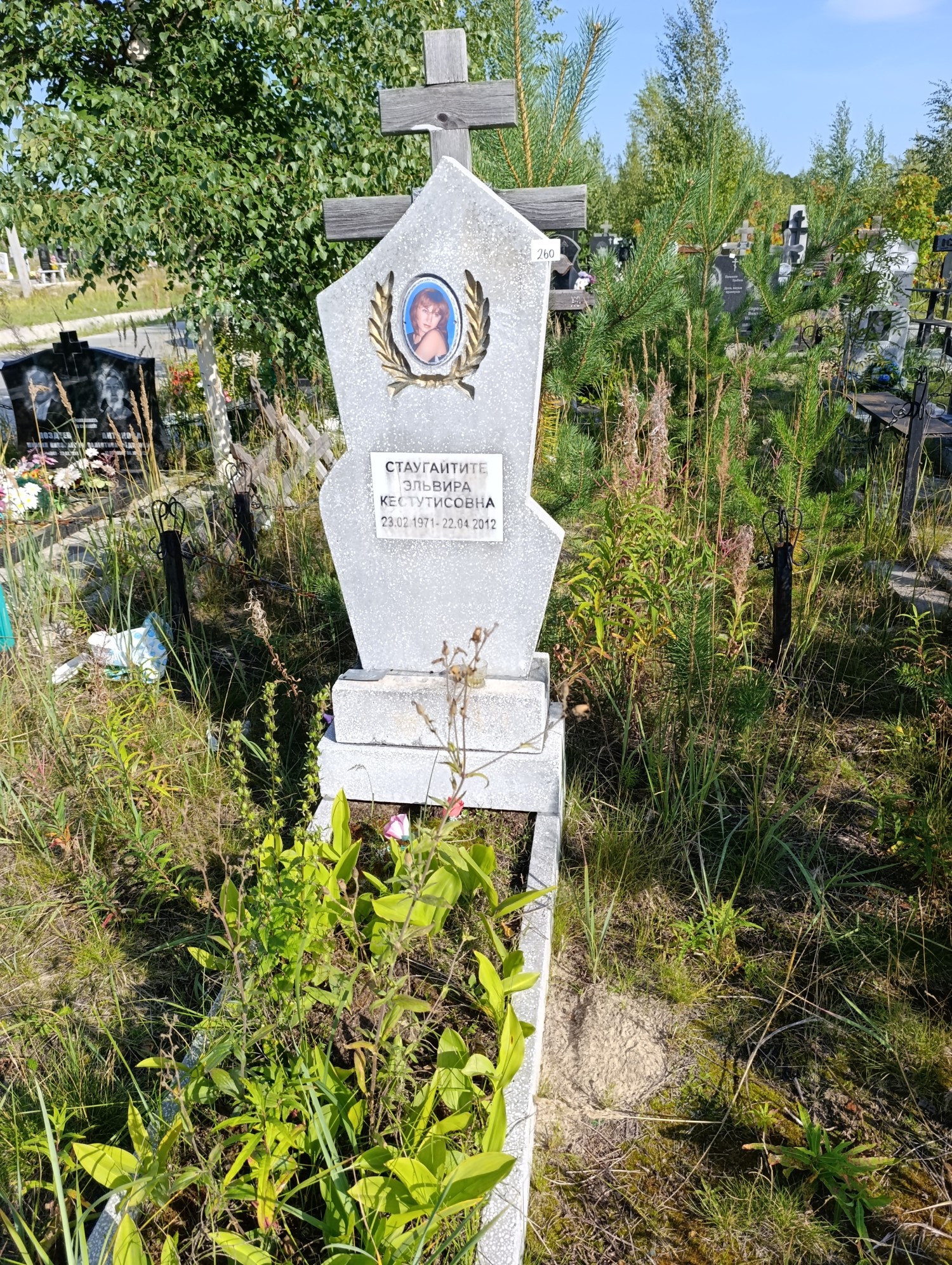 Стаугайтите Эльвира Кестутисовна