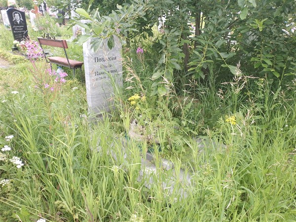 Поздеева Ольга Николаевна