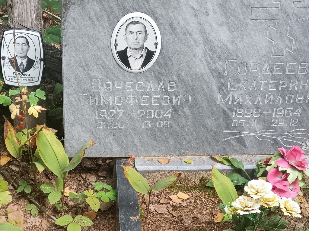 Гордеев Вячеслав Тимофеевич