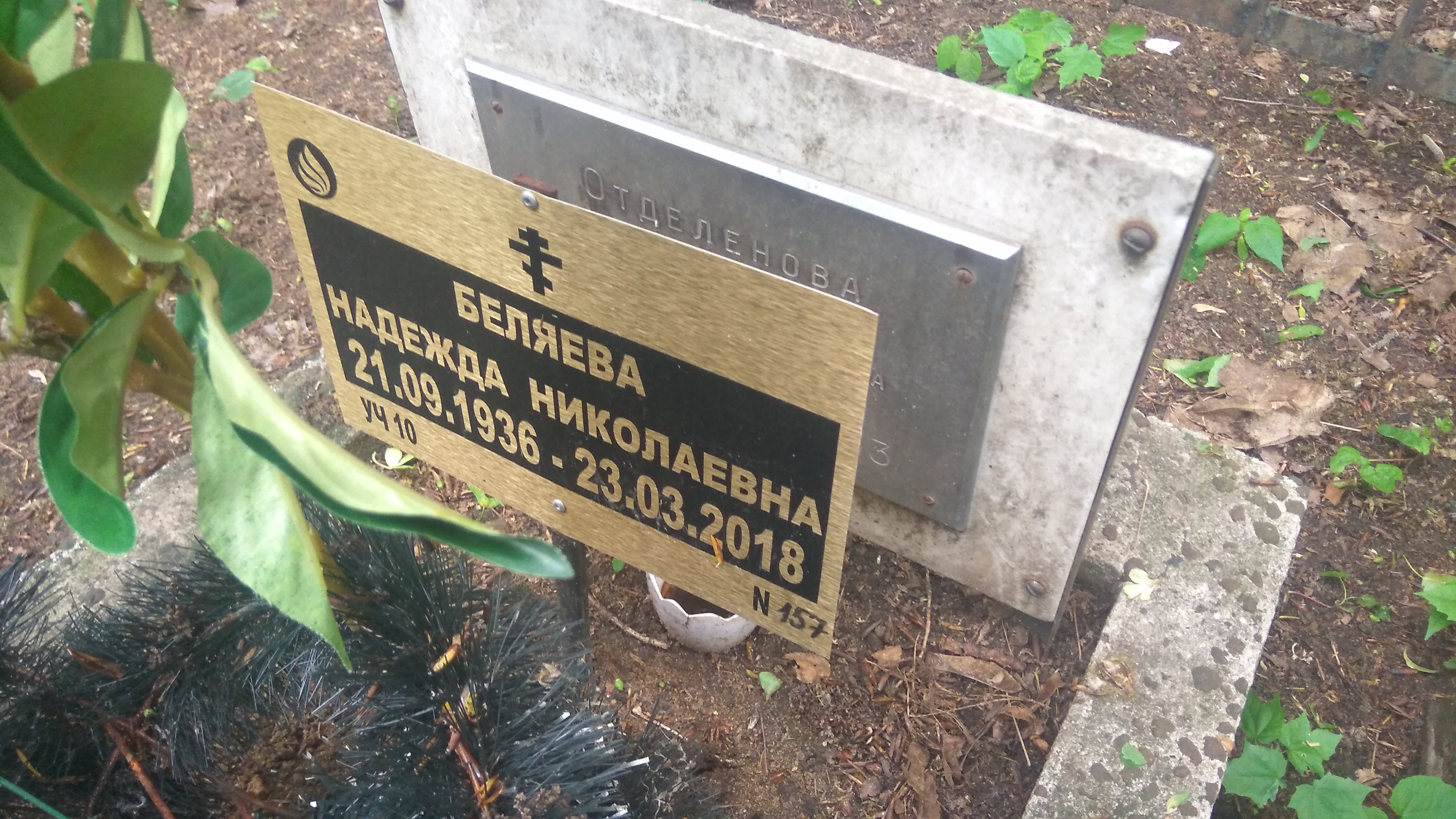 Беляева Надежда Николаевна