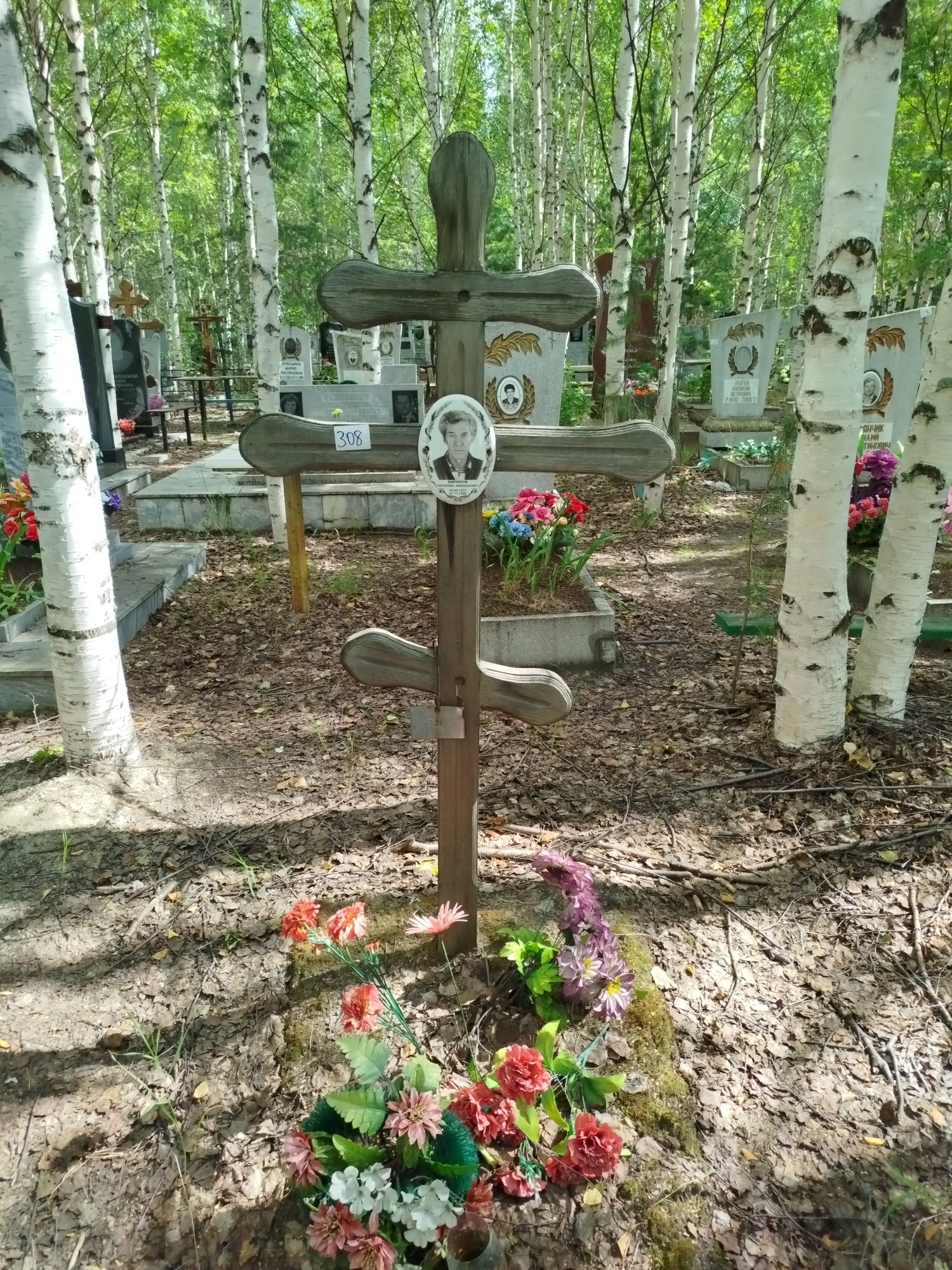 Шипилов Виталий Николаевич