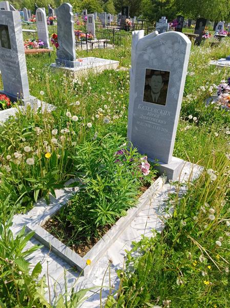 Балеевских Юрий Дмитриевич