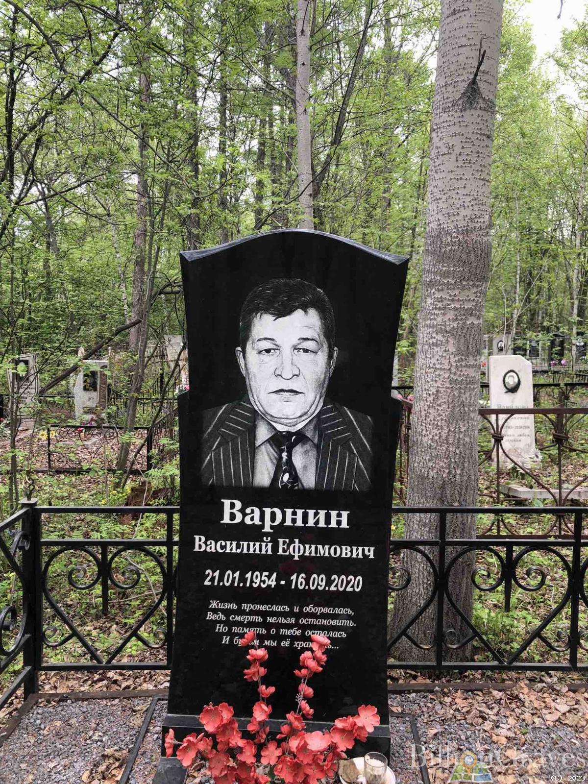 Варнин Василий Ефимович