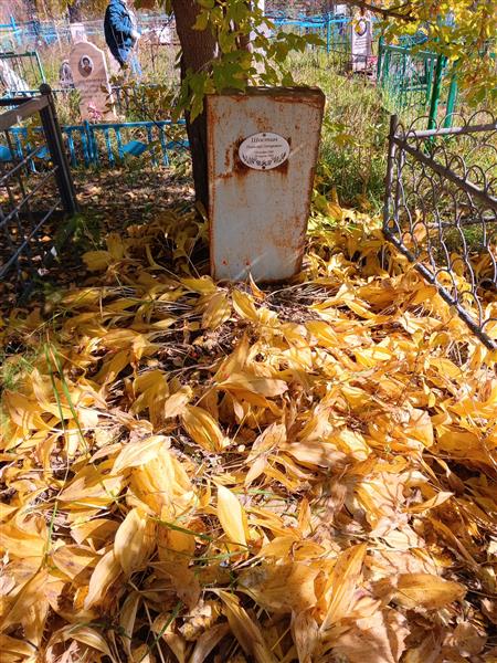 Шастин Николай Петрович