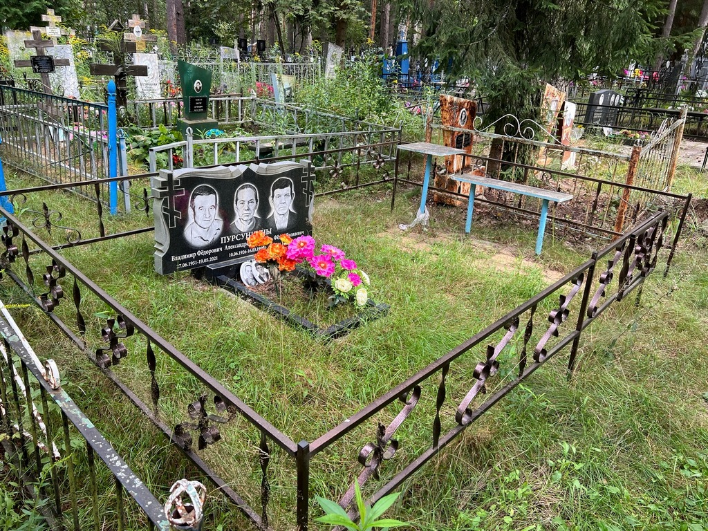 Пурсункин Владимир Федорович