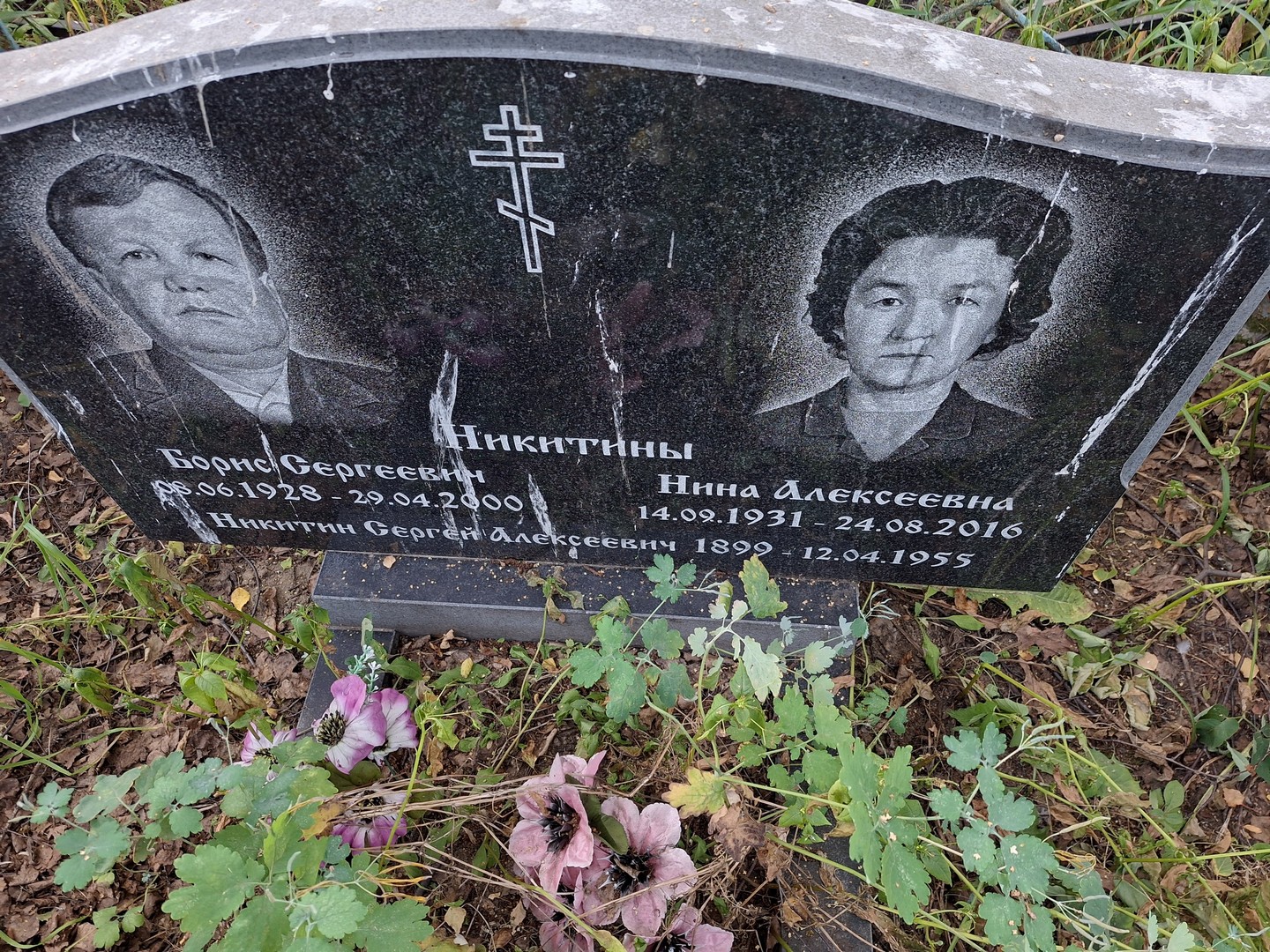 Никитин
