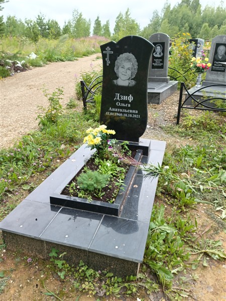 Дзиф Ольга Анатольевна