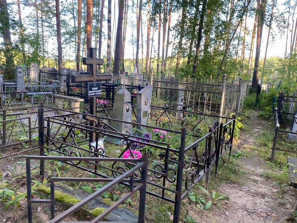 Шанин Дмитрий Львович