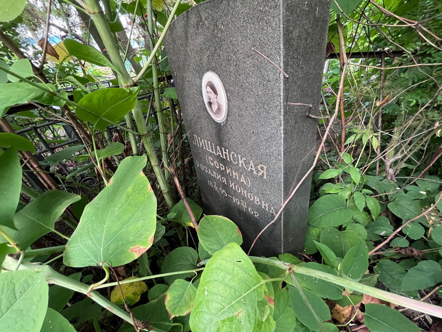 (Сорина) Лищанская Розалия