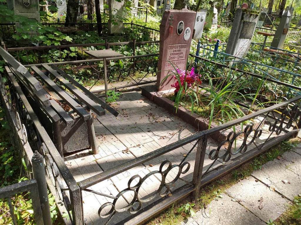 Сорокулина Любовь Дмитриевна