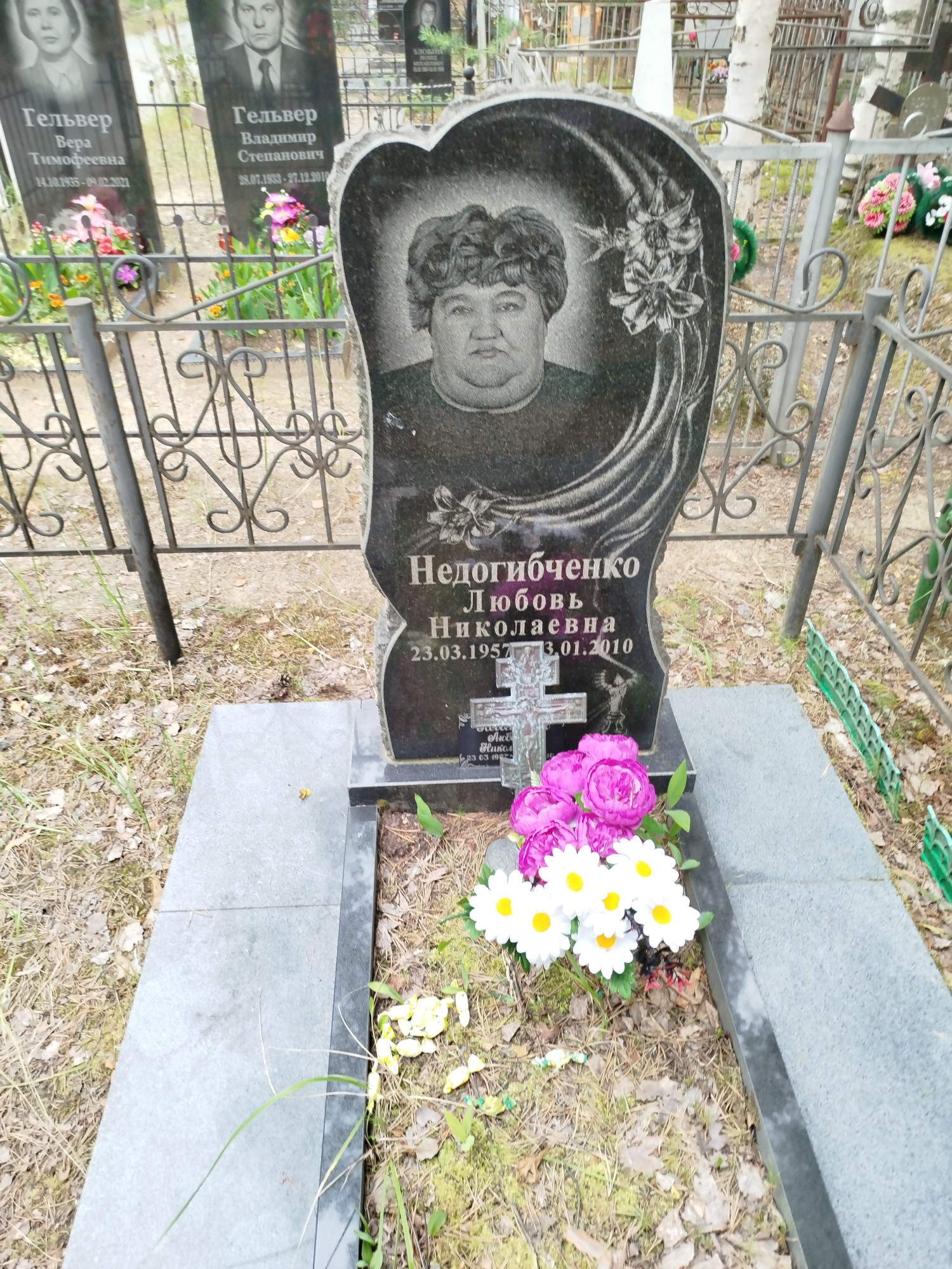Недогибченко Любовь Николаевна