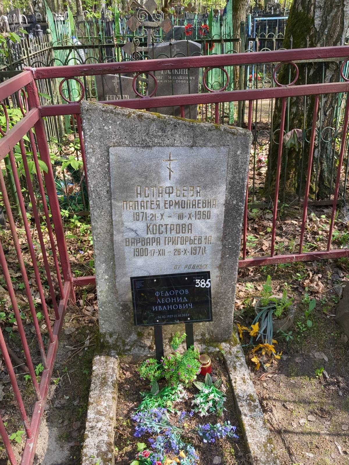 Астафьева Палагея Ермолаевна