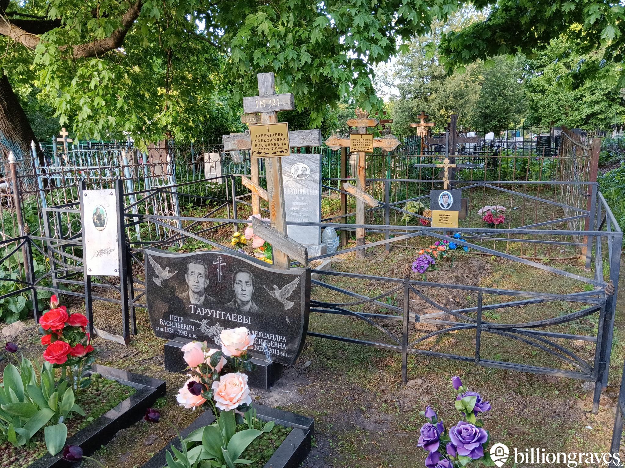 Тарунтаева Александра Васильевна