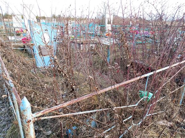 Романов Николай Андреевич