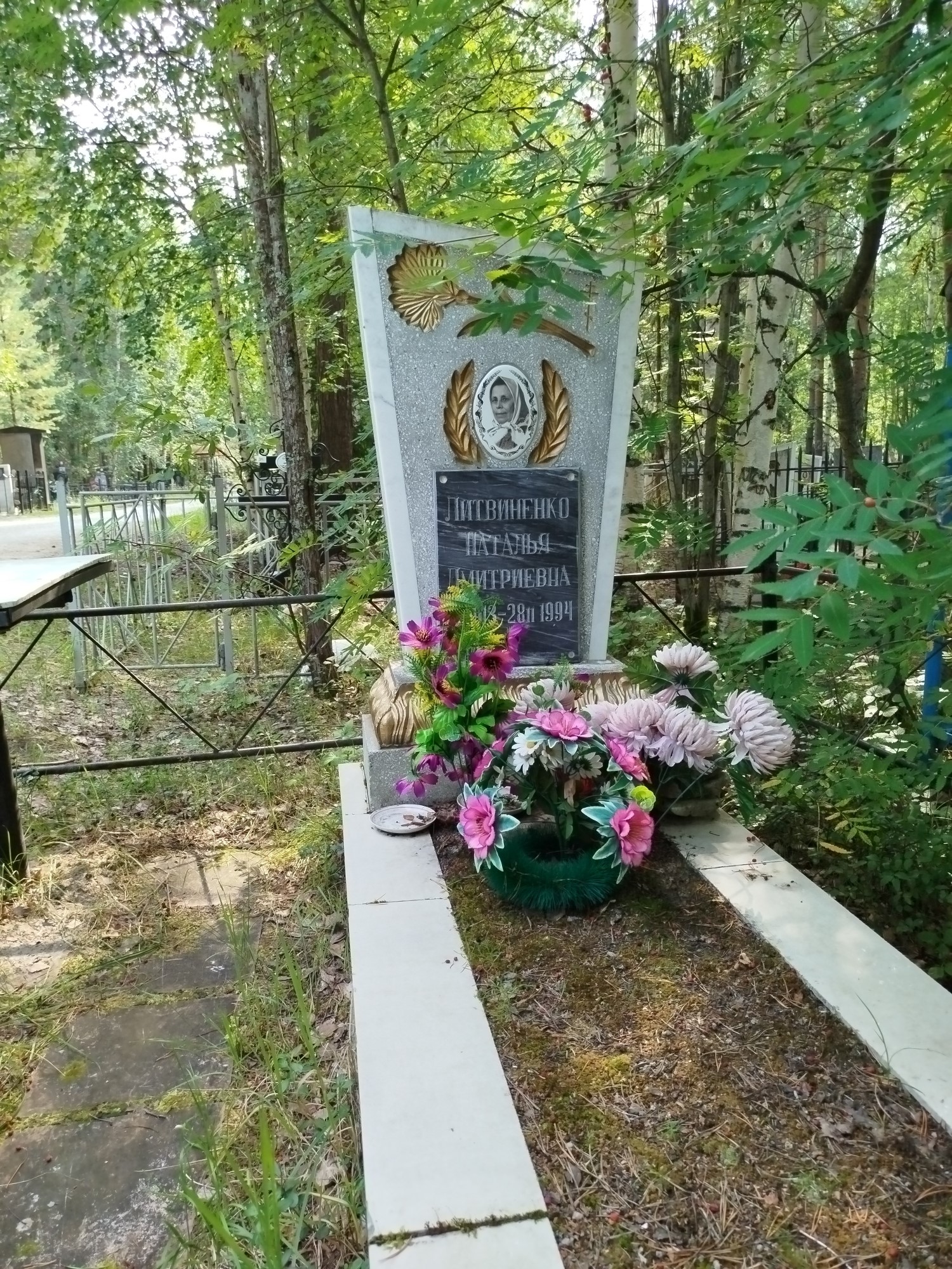 Литвиненко Наталья Дмитриевна