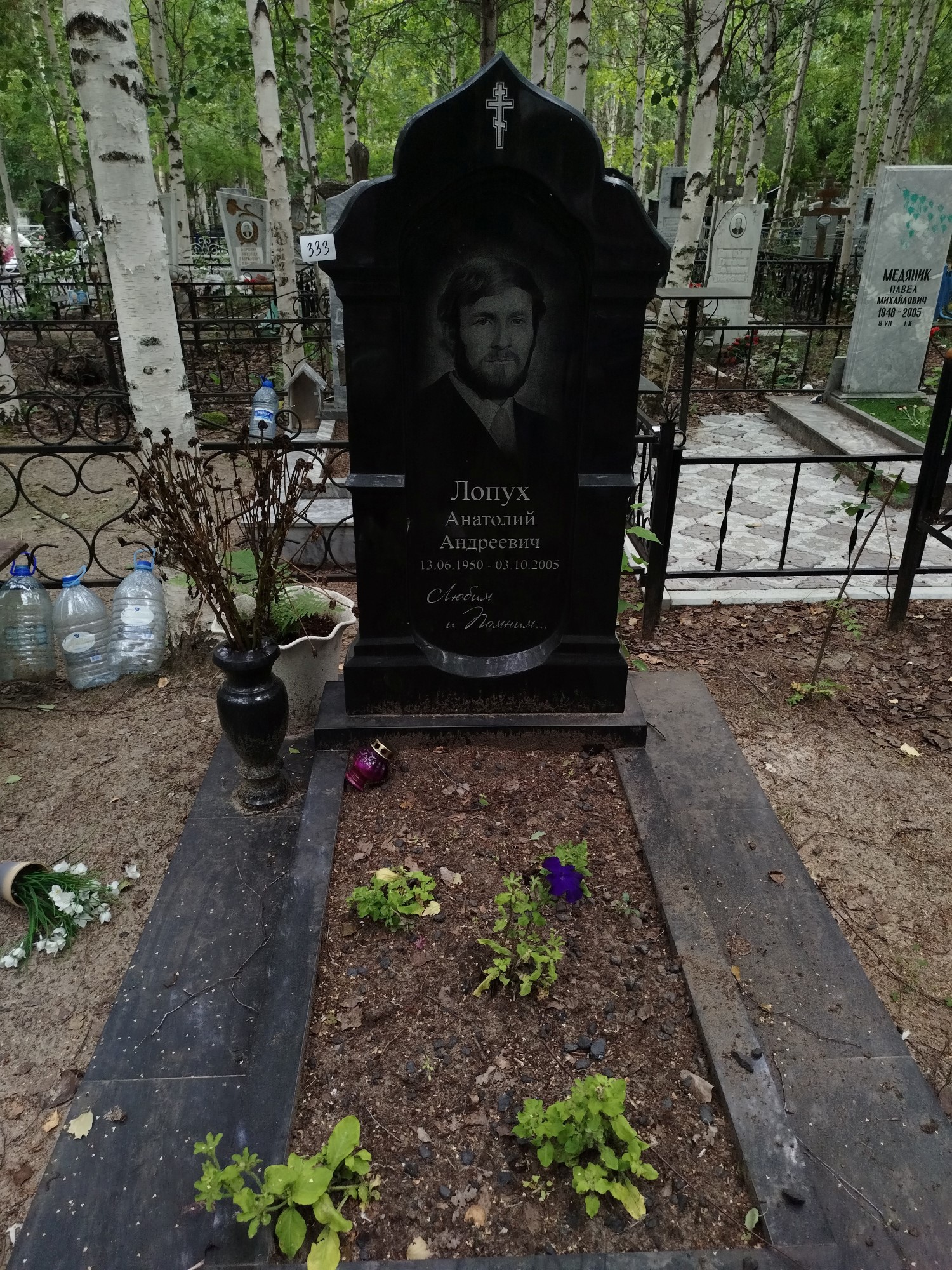 Лопух Анатолий Андреевич
