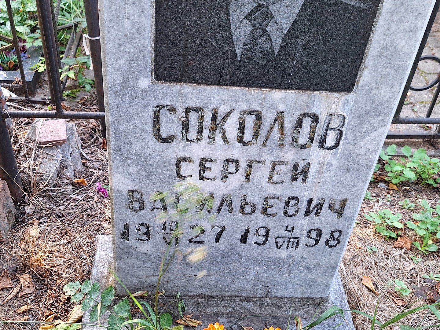 Соколов