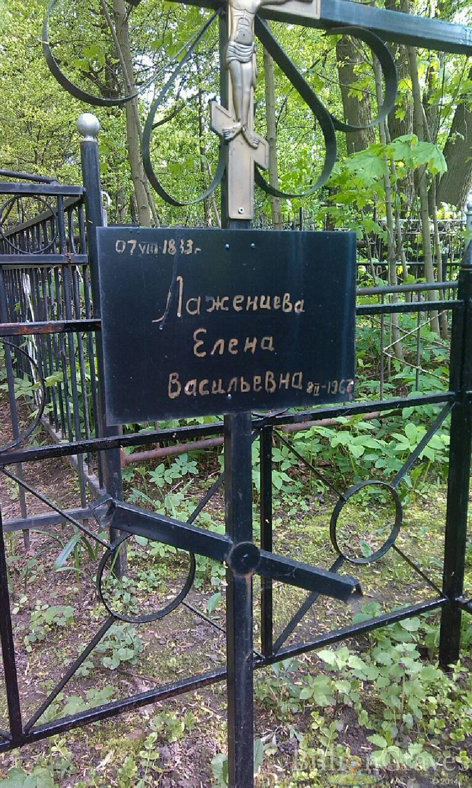 Лаженцева Елена Васильевна
