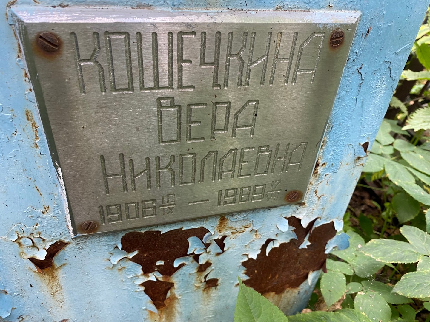 Кошечкина