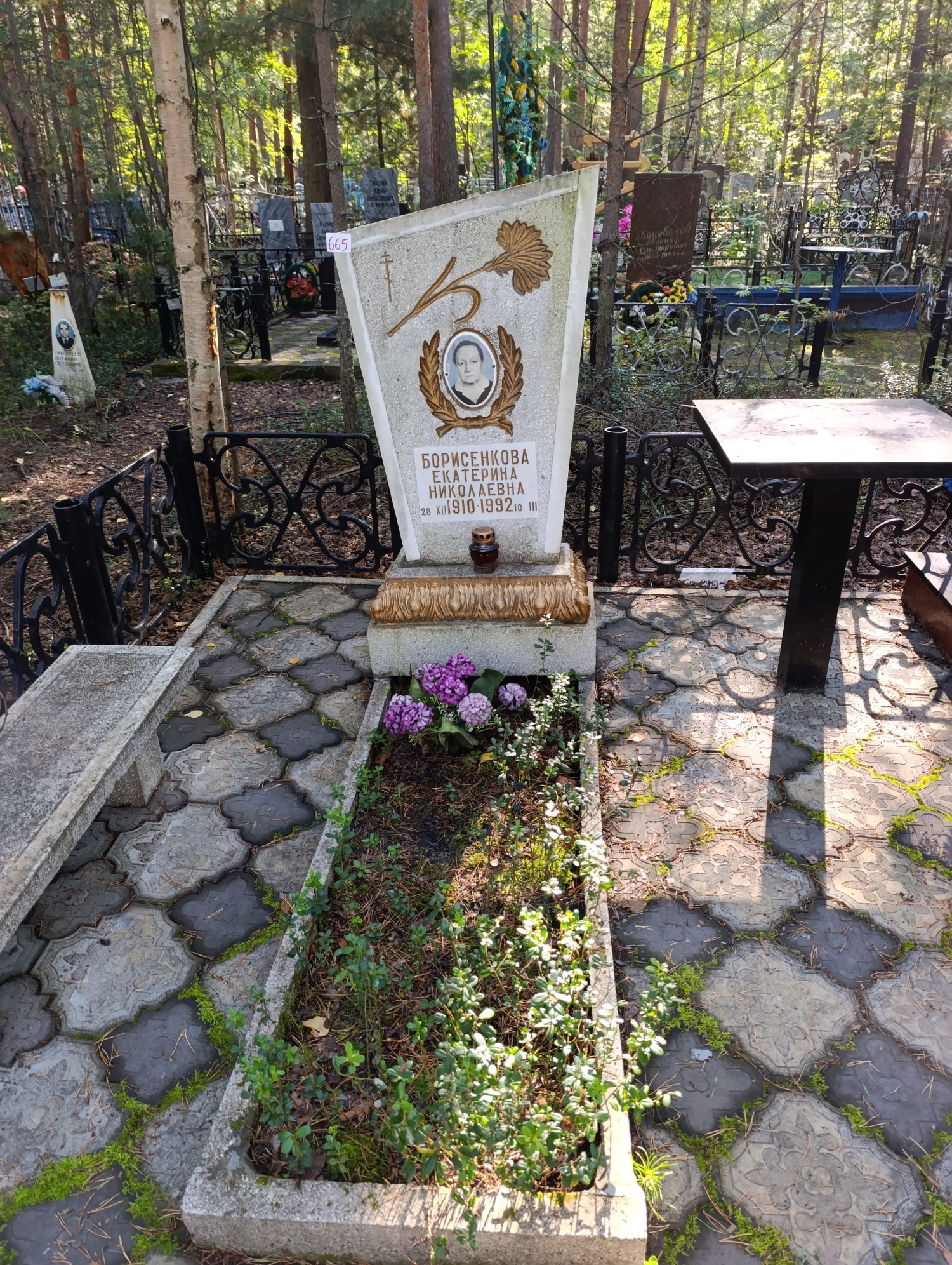Борисенкова Екатерина Николаевна