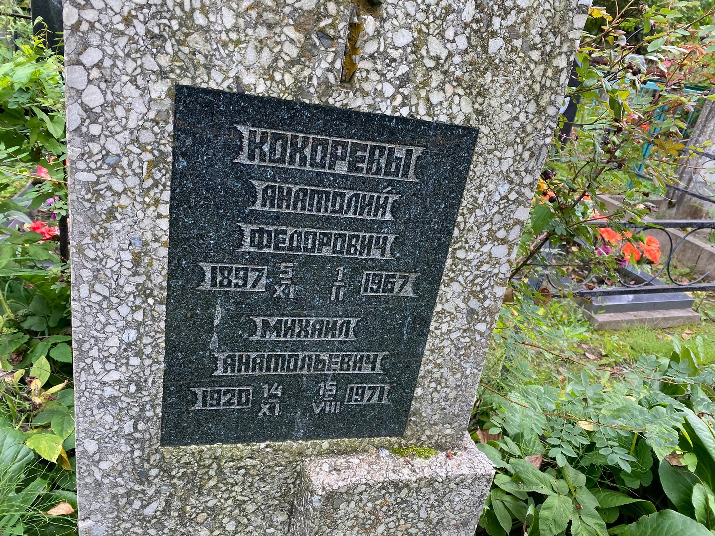 Кокорев