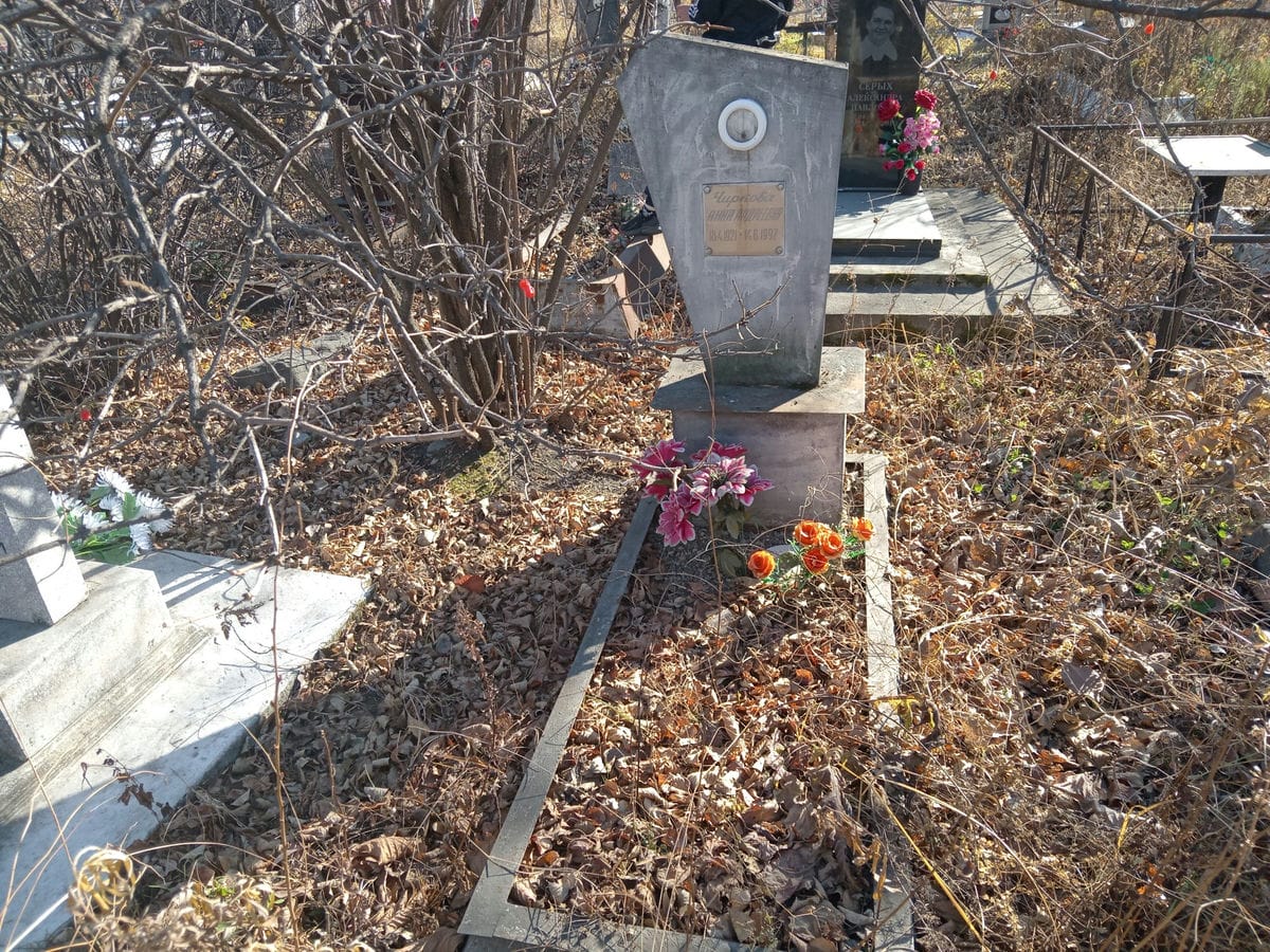 Чиркова Анна Андреевна