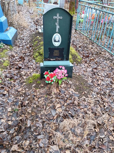 Шипицина Александра Ивановна