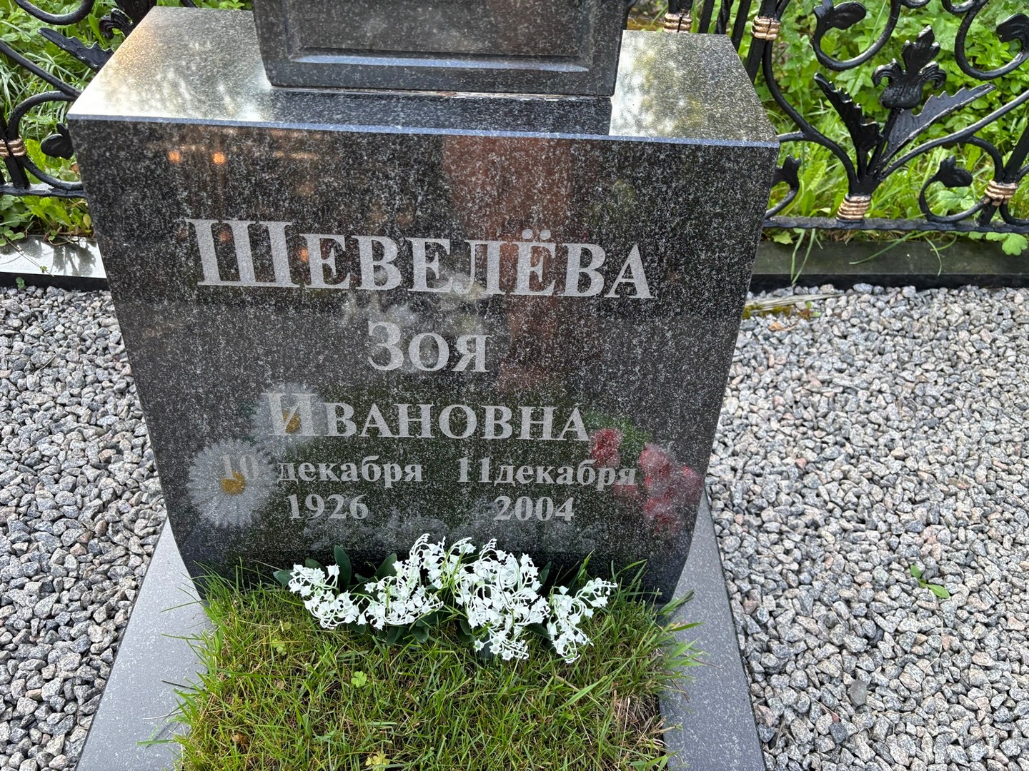 Шевелева
