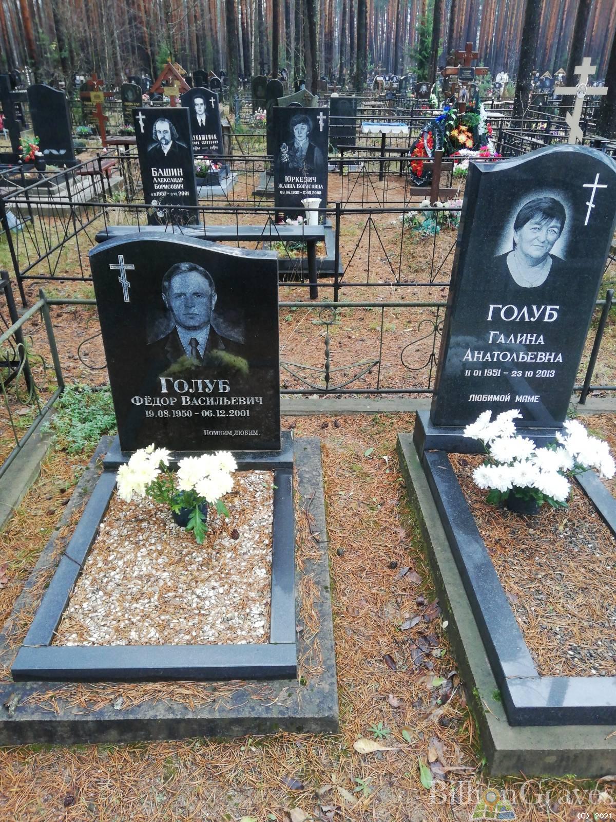 Голуб Галина Анатольевна