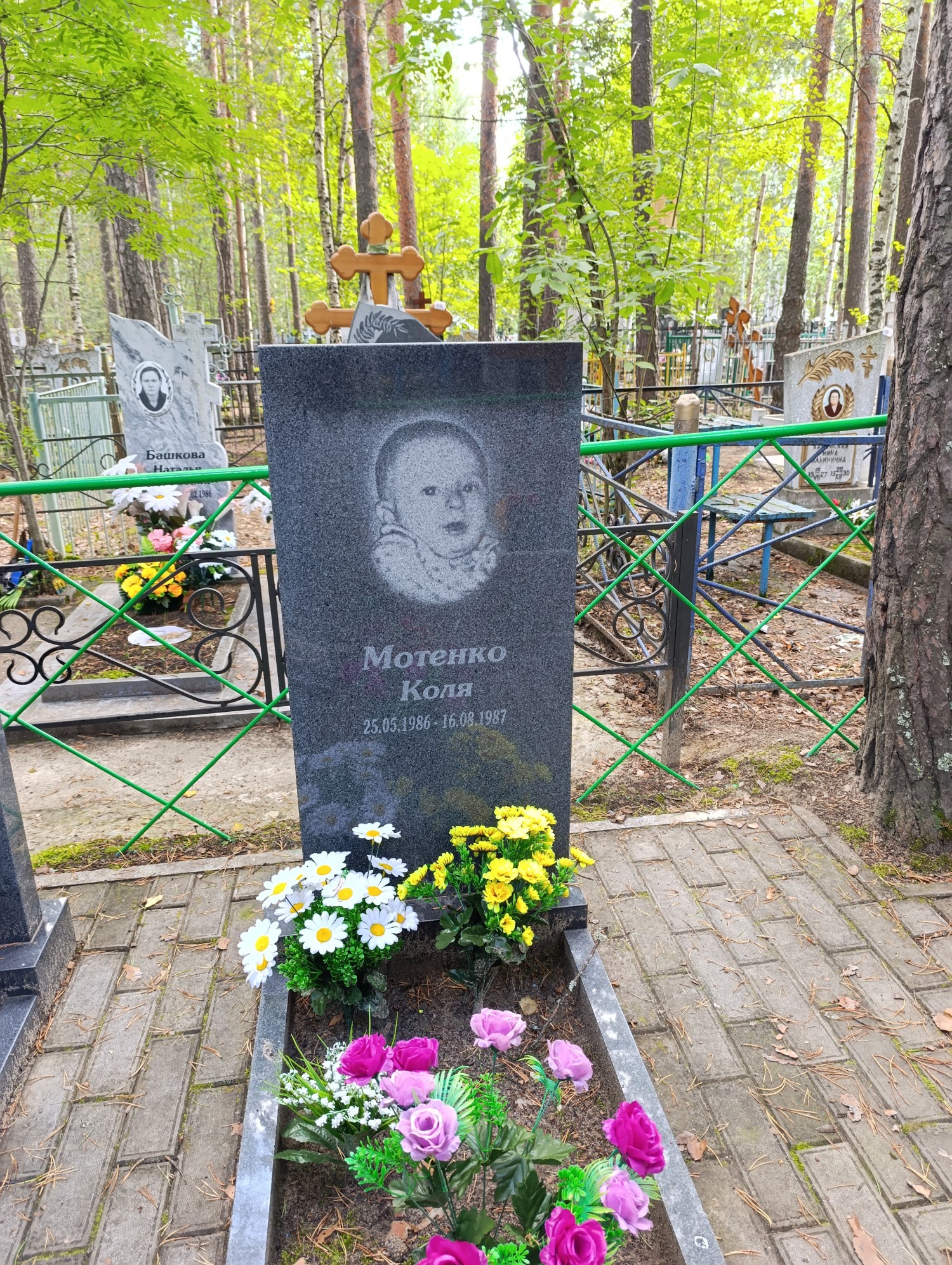 Мотенко Николай