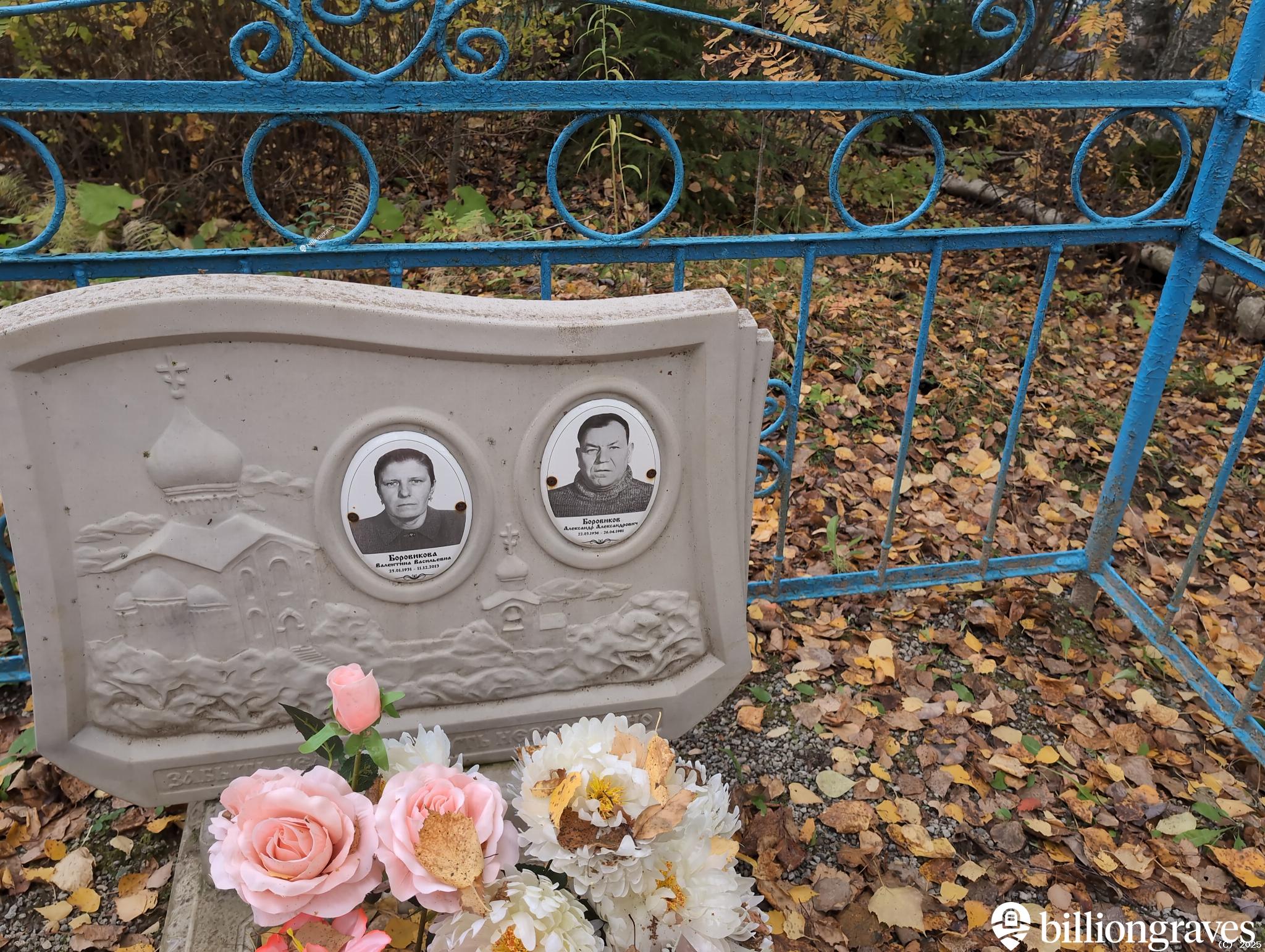 Боровиков Александр Александрович