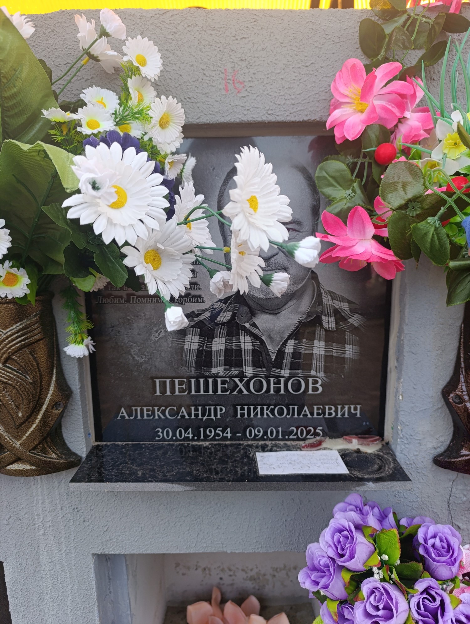 Пешехонов Александр Николаевич