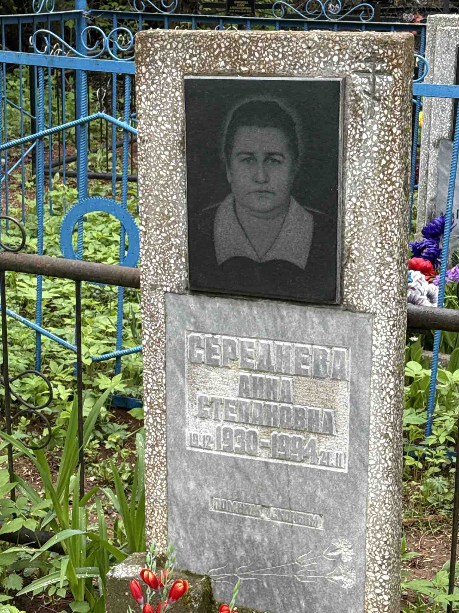 Середнева Анна Степановна