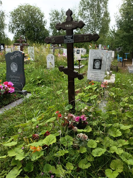 Ильиных Елена Аркадьевна