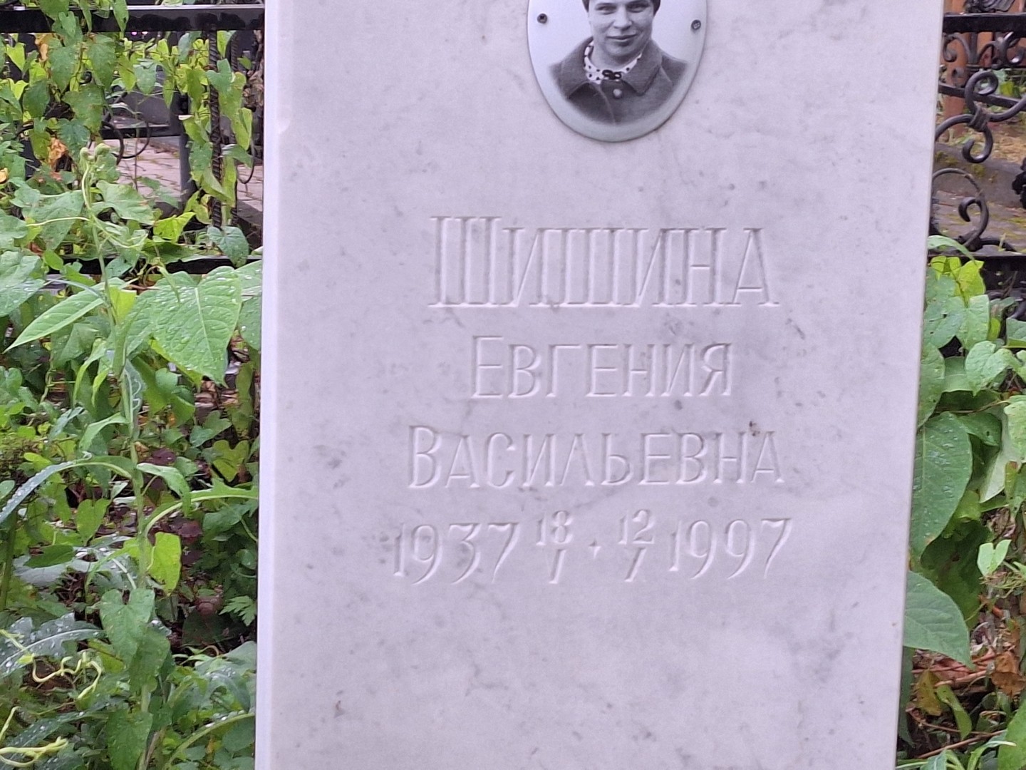 Шишина Евгения Васильевна