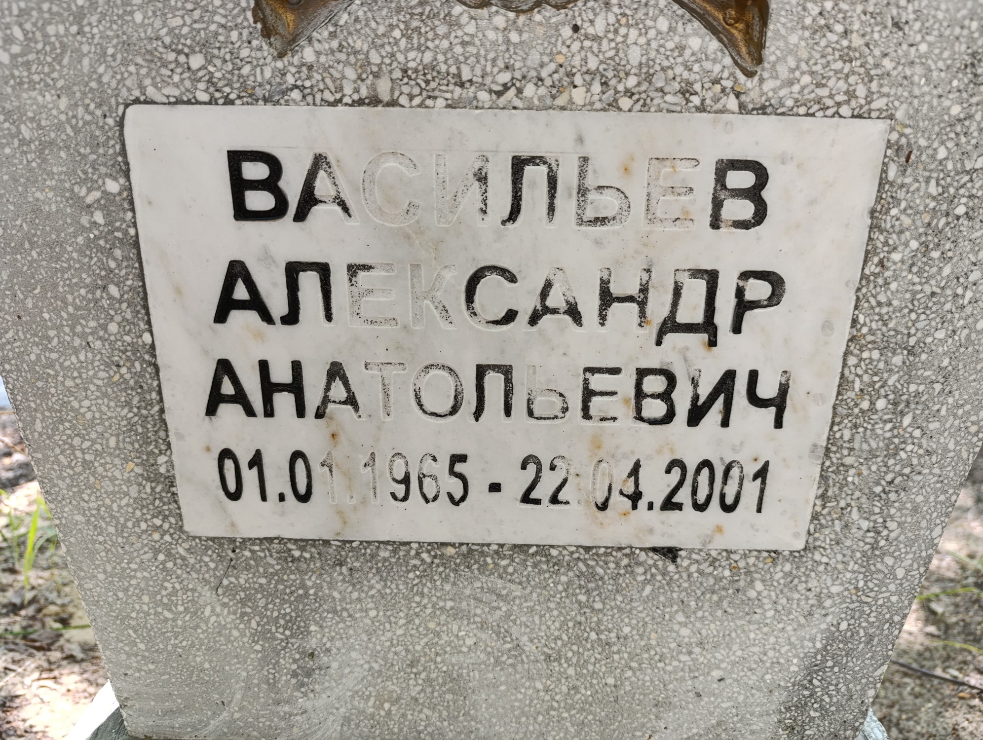 Васильев Александр Анатольевич