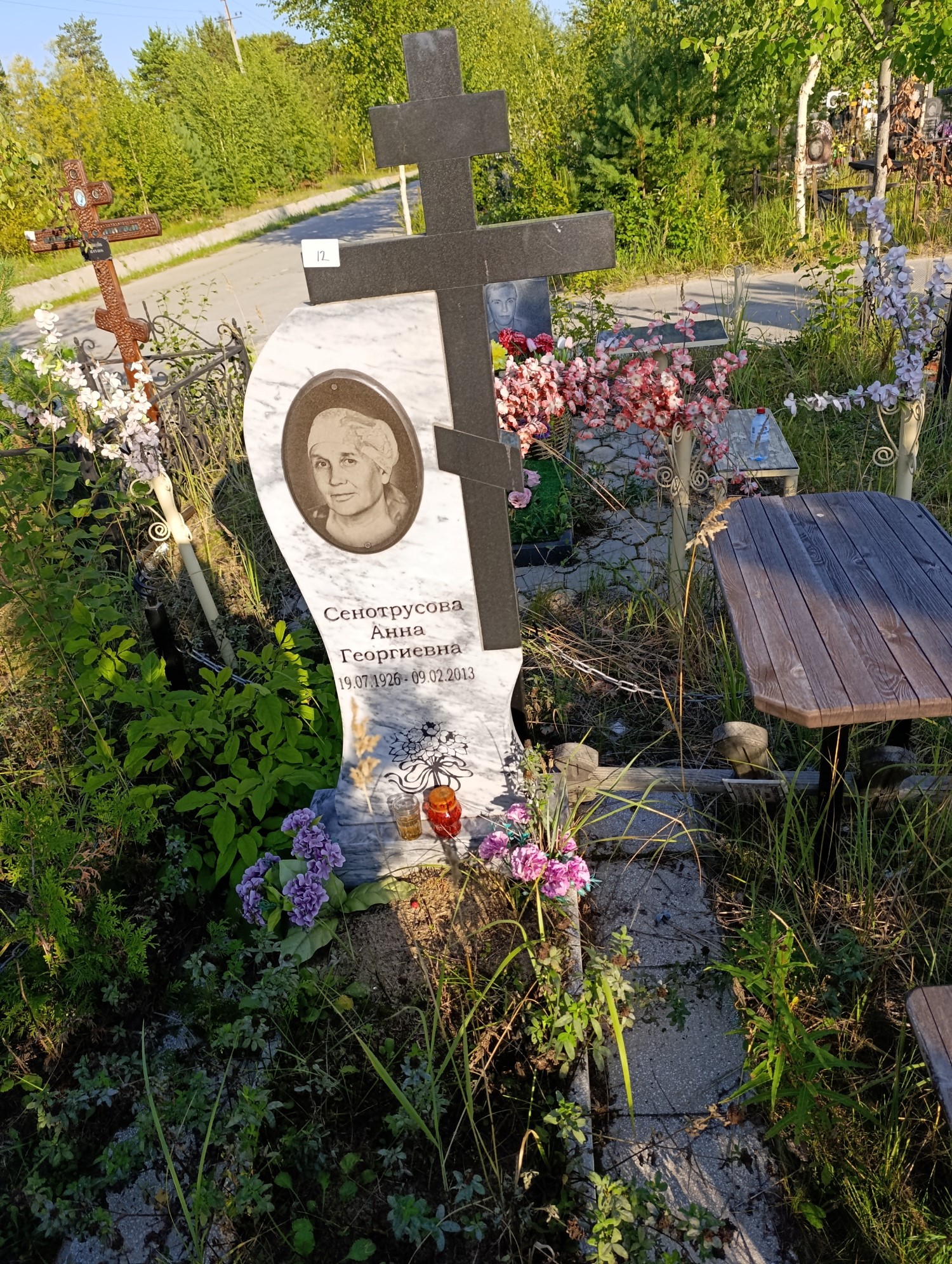 Сенотрусова Анна Георгиевна