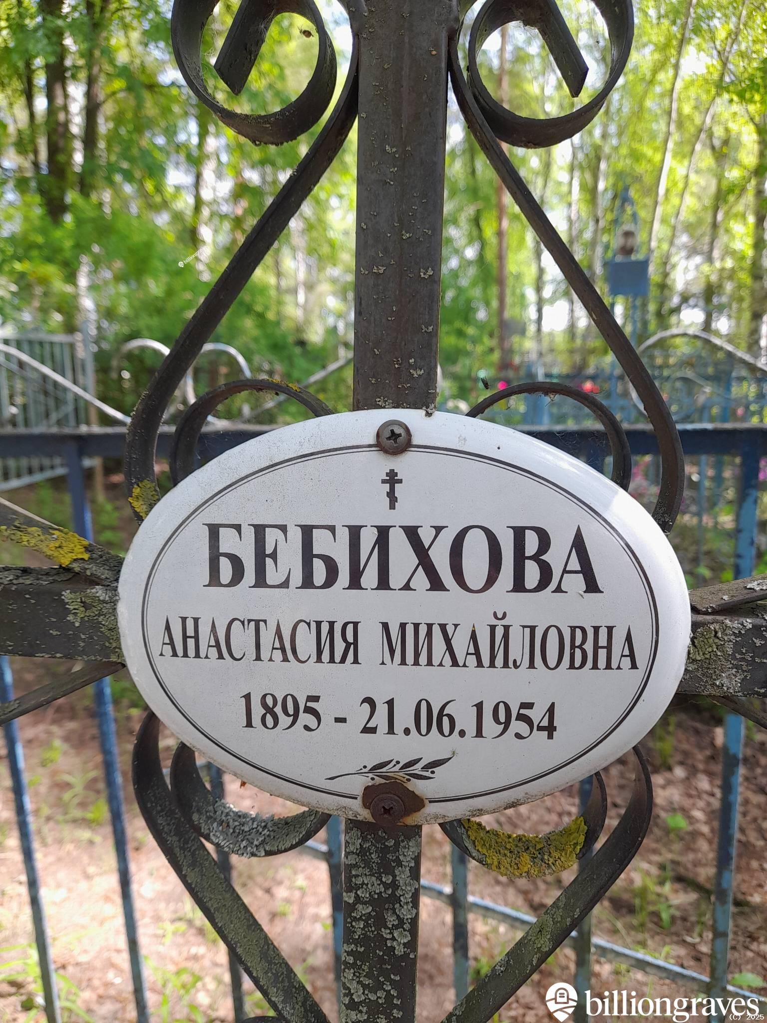 Бебихова Анастасия Михайловна
