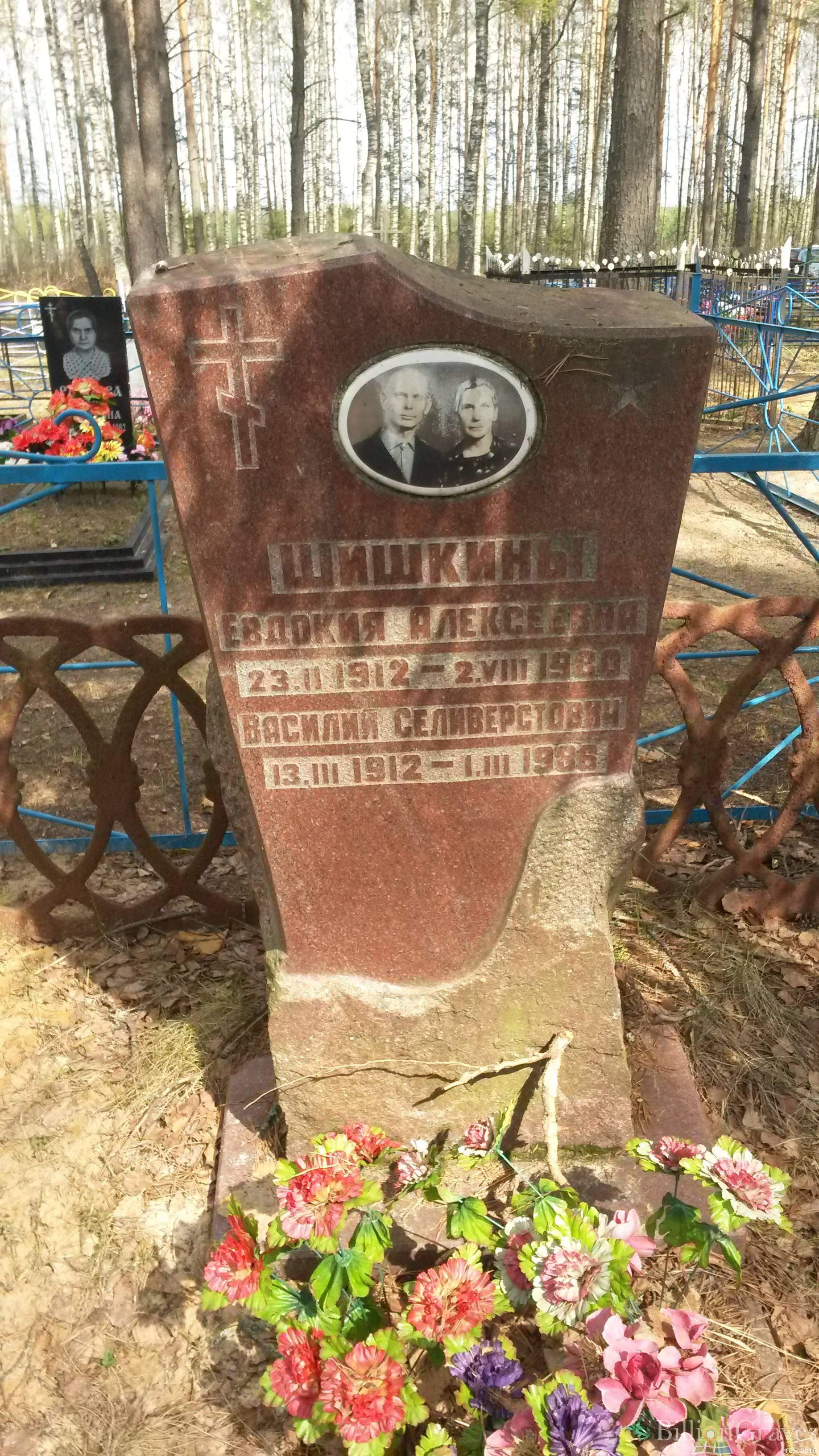 Шишкина Евдокия Алексеевна