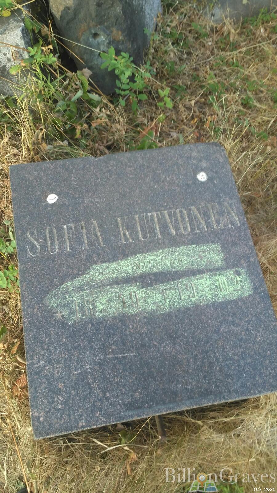Kutvonen (Nilson) Sofia