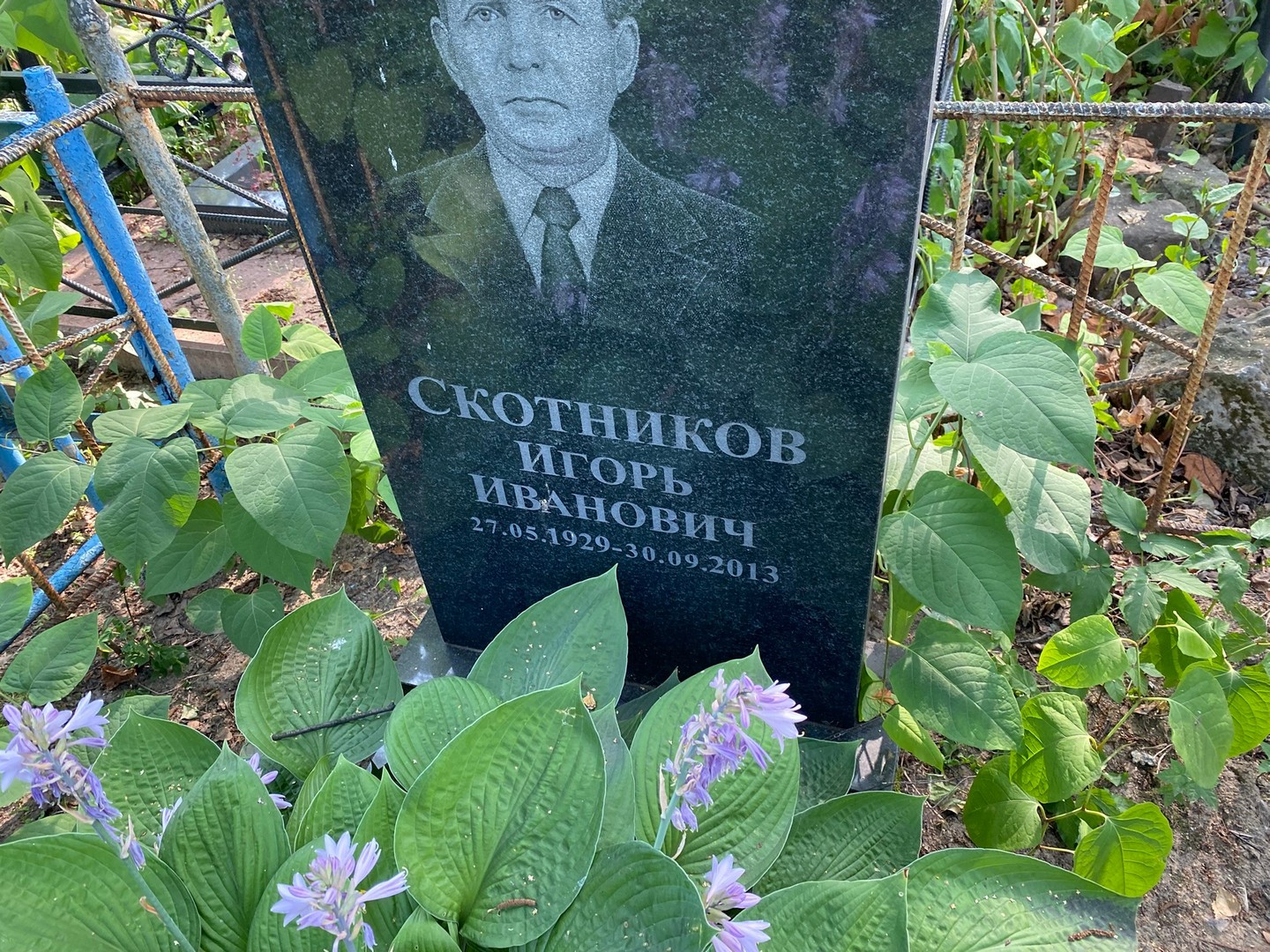 Скотников