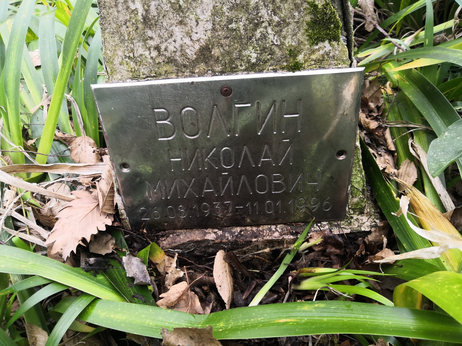 Волгин Николай Михайлович